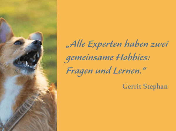 Zitat Gerrit Stephan, Tutor ATN, ist nominiert für den Tutor des Jahres 2022, eine Auszeichnung des Fernstudiumchecks