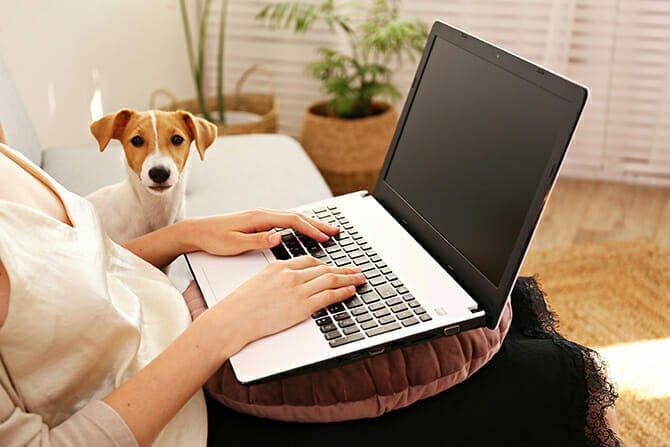 Hundetrainer Ausbildung - Frau lernt am Laptop mit Hund