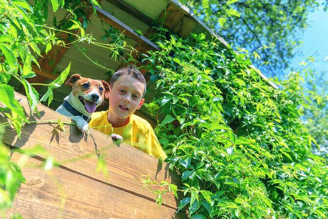 Erlebnispädagogik Ausbildung - Junge mit Hund im Baumhaus