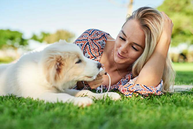 Hundetrainer Ausbildung Ablauf - Frau macht Pause mit Welpe im Gras