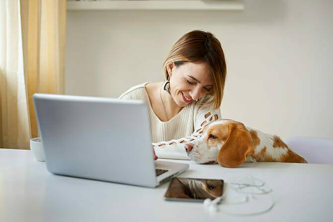 Hundetrainer Ausbildung Ablauf - Frau lernt am PC mit Hund