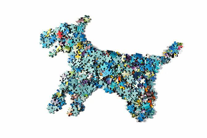 Hundetrainer Ausbildung - Puzzlehund symbolisiert Kombinationen