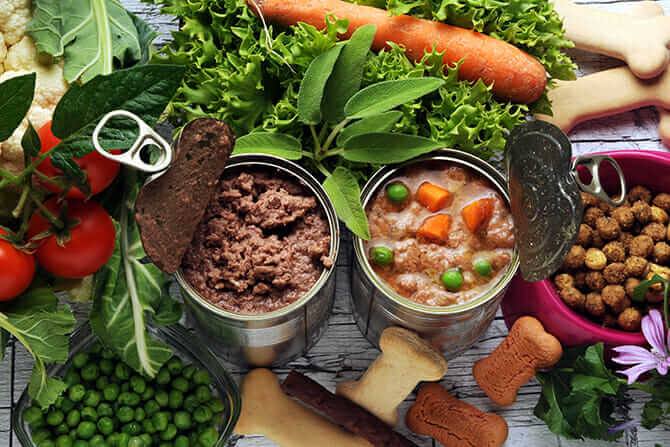 Hundeernährung Ausbildung - Hundefutterdosen und frische Zutaten