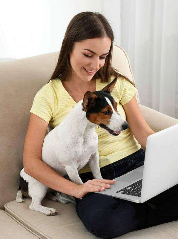 Hundetrainer Ausbildung Ablauf - Frau lernt mit Hund am Laptop zu Hasue
