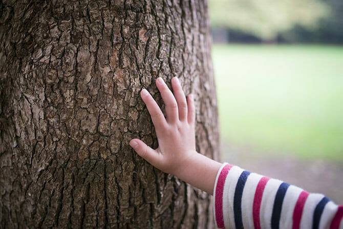 Erlebnispädagogik Ausbildung - Kind fühlt Baum mit der Hand