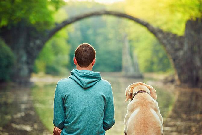 Mensch Tier Beziehung Ausbildung ATN- Rückenansicht Mann mit Hund auf Brücke blickend