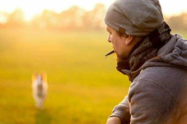 Hundetrainer Ausbildung - Hundetraining mit Hundepfeife