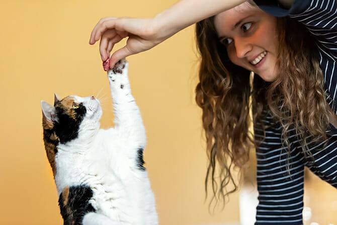Katzenverhaltensberater Ausbildung - junge Frau bringt Katze Kunststückchen bei