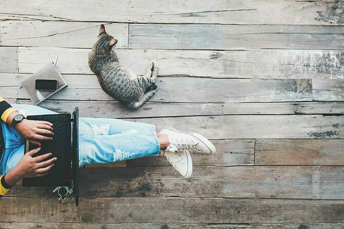 Katzenverhaltensberater Ausbildung - Katze liegt auf Holzplanken neben Menschen im Homeoffice