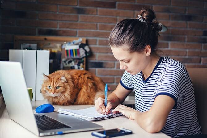 Katzenverhaltensberater Ausbildung - Katze liegt neben einer Studentin auf dem Schreibtisch während das Mädchen vor ihrem Computer sitzt und etwas aufschreibt