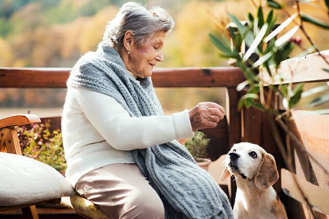 Therapiebegleithunde Trainer Ausbildung - ältere Frau sitzt an einem sonnigen Herbsttag gemeinsam mit ihrem Hund auf der Terrasse
