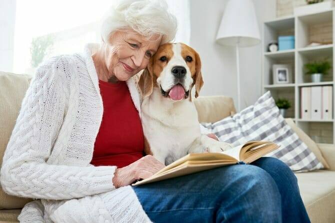 Therapiebegleithunde Trainer Ausbildung - Seniorin liest gemeinsam mit Hund ein Buch auf dem Sofa