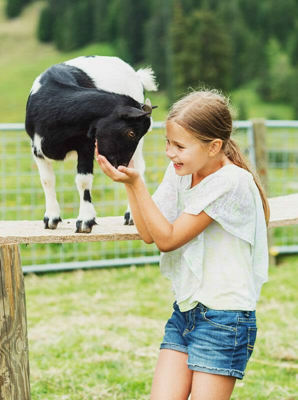 Tiergestützte Arbeit Ausbildung - glückliches junges Mädchen mit Ziege im Sommer auf einer Farm