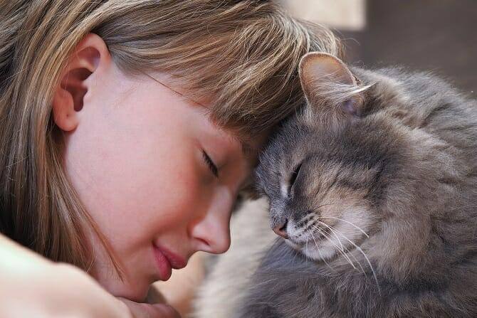 Tiergestützte Arbeit Ausbildung - junges Mädchen mit geschlossenen Augen lehnt ihre Stirn gegen ihre Katze