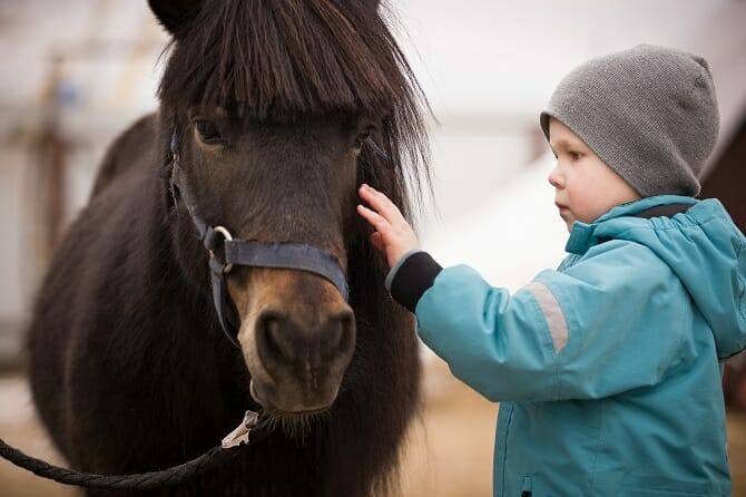 Tiergestützte Arbeit Ausbildung - kleiner Junge streichelt dunkelbraunes Pony