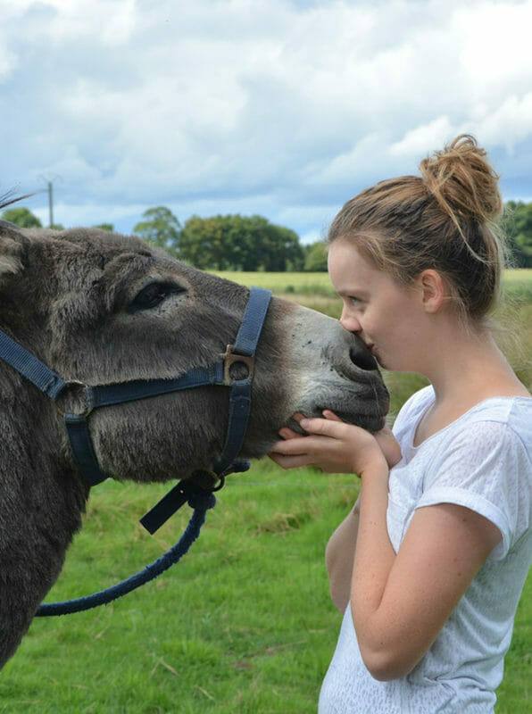 Tiergestützte Arbeit Ausbildung - Mädchen auf einer grünen Wiese küsst einen Esel auf die Nüstern