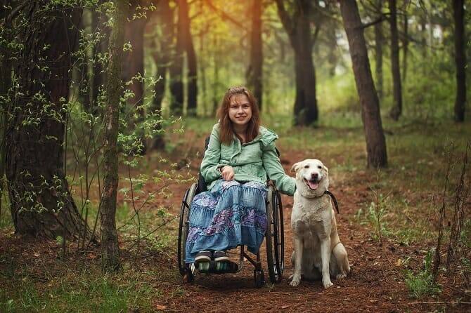 Assistenzhundetrainer Ausbildung - junge Frau im Rollstuhl mit weißem Hund im Wald