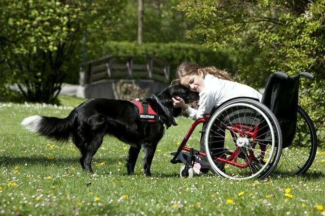 Assistenzhundetrainer Ausbildung - Mädchen im Rollstuhl kuschelt mit Begleithund