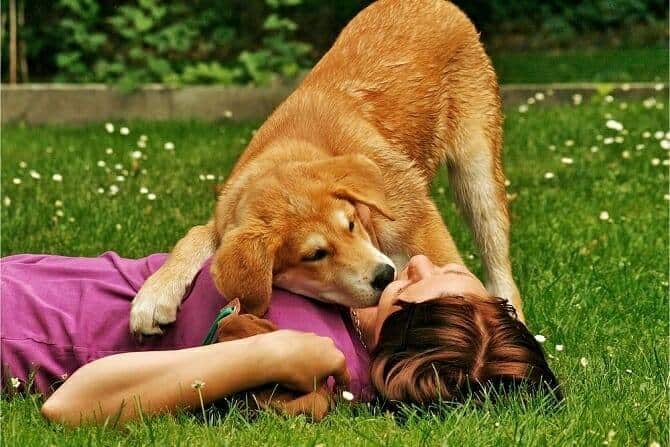 Assistenzhundetrainer Ausbildung - Mädchen und Hund liegen auf Wiese