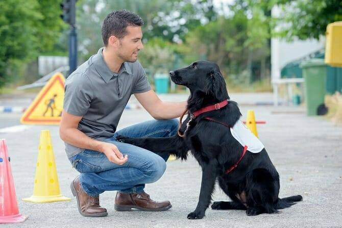 Assistenzhundetrainer Ausbildung - Trainer mit Assistenzhund auf der Straße