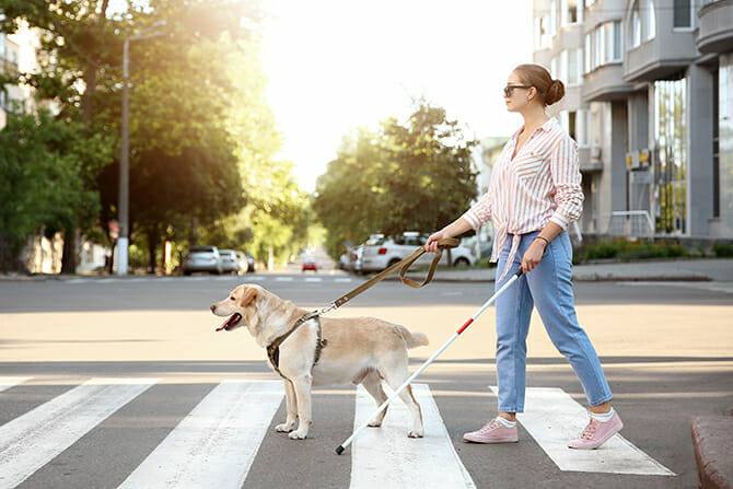 Ausbildung Assistenzhundetrainer - blinde Frau mit Assistenzhund überquert Straße