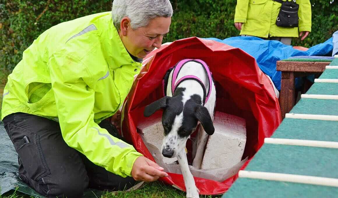 Hundeverhaltensberaterin Birgit Götz