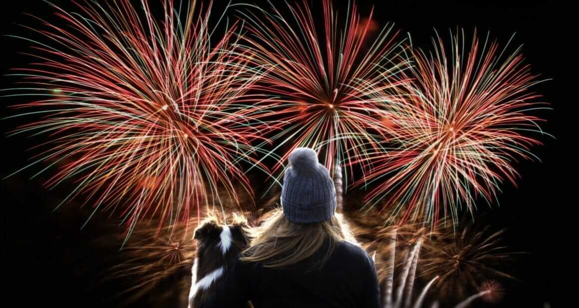 Jahreswechsel mit Hund: Hilfe bei Silvesterstress