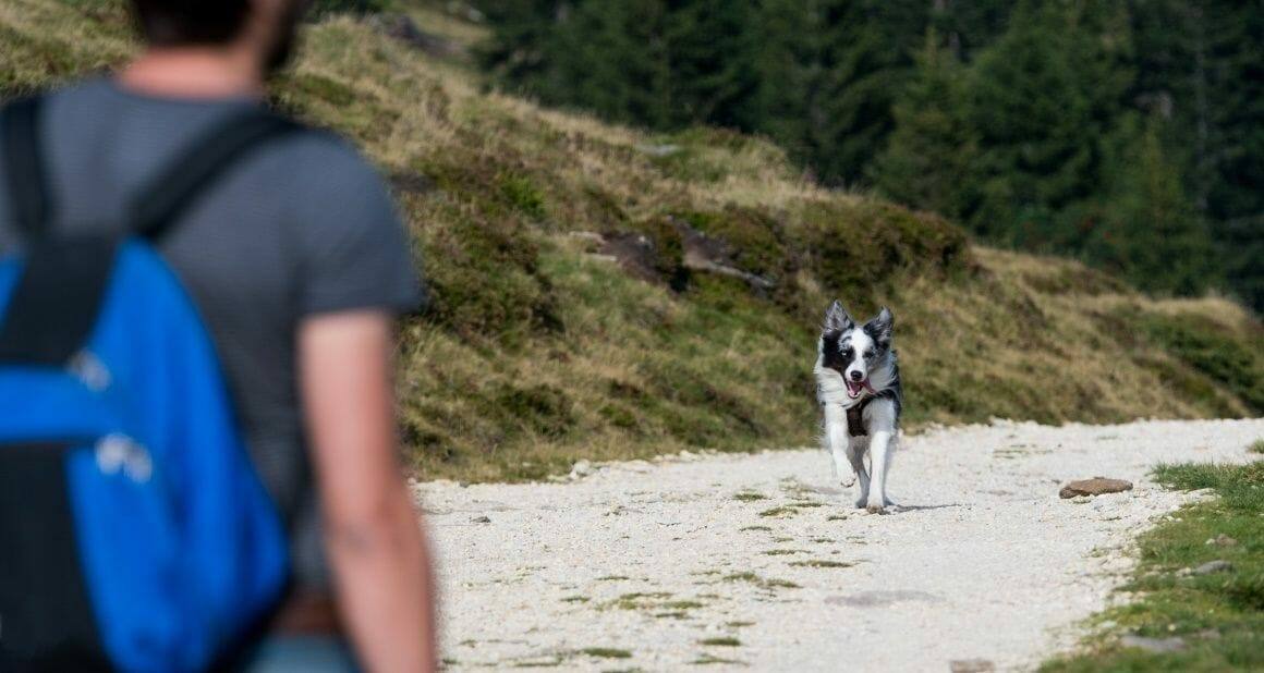 Mensch und Hund – eine ganz spezielle Beziehung