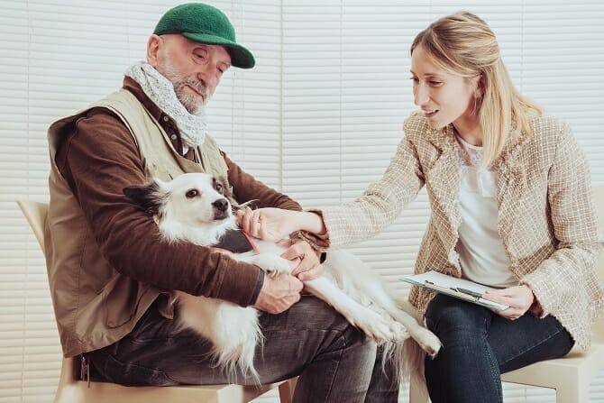 Psychologischer Coach Mensch Tier Beziehung Ausbildung - älterer Herr mit Hund beim Therapiegespräch