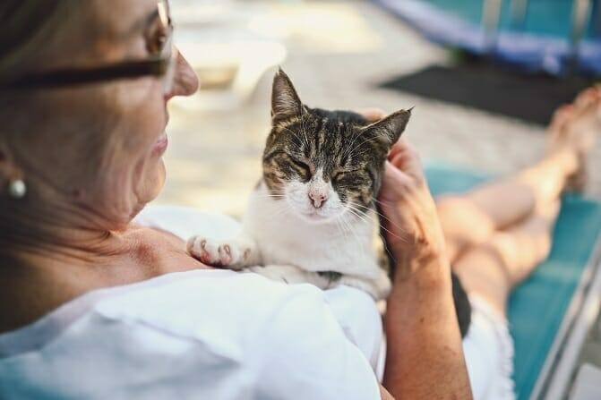 Tiergestützte Arbeit Ausbildung - ältere Frau mit Brille hält entspannte Katze auf der Brust