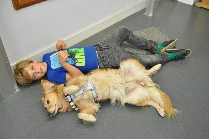 Tiergestützte Arbeit Ausbildung - Junge liegt mit Hund auf dem Rücken auf dem Boden und ahmt ihn nach