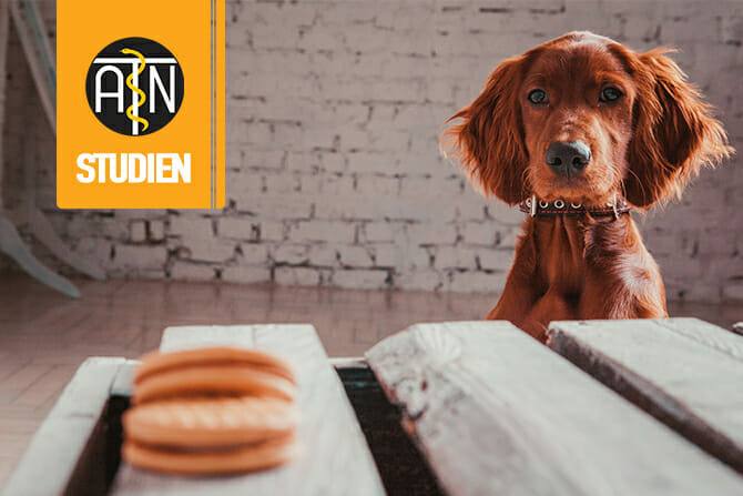 ATN Akademie - Studien und Forschung