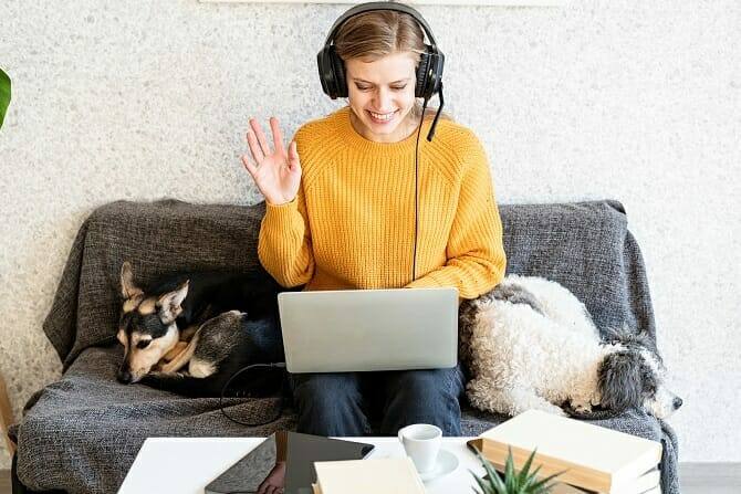 ATN IHK Zertifikat - junge Frau lernt am Laptop auf Couch mit zwei Hunden und freut sich