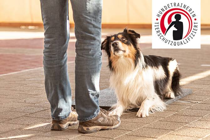 ATN Akademie - HundeÂtrainerin TierÂschutzÂqualiÂfiziert - ein österÂreichÂisches GüteÂsiegel