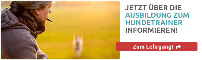 Hundetrainer Ausbildung ATN - zu den Lehrgangsdetails