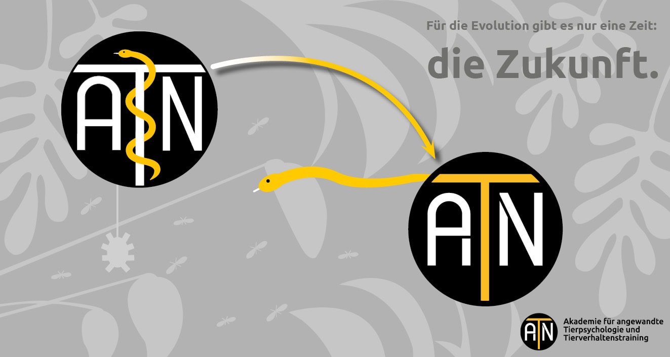 ATN mit neuem Namen