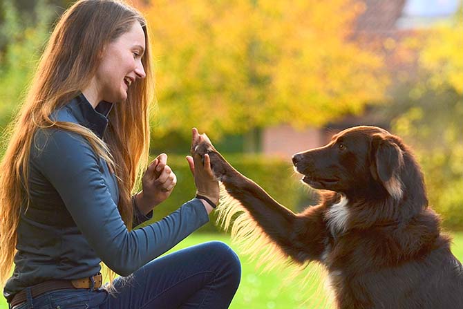 Mensch-Hund-Beziehung