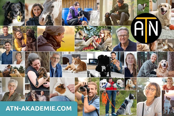 Collage Dozenten und Autoren ATN