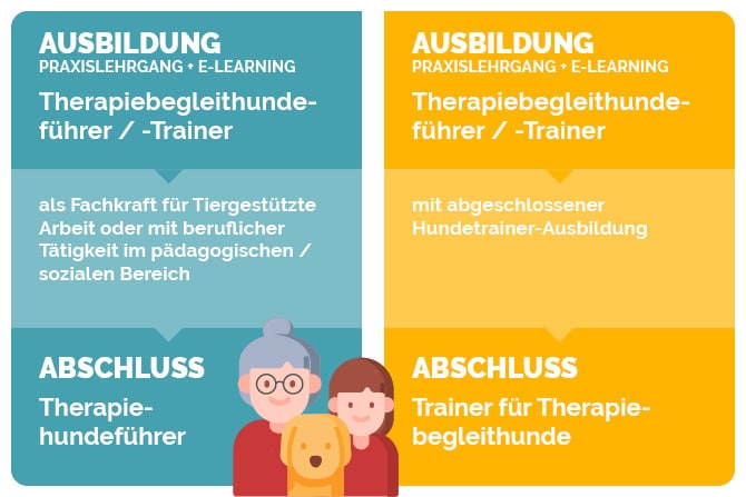 Therapiebegleithunde Trainer Ausbildung - Schaubild Ausbildung und Abschluss