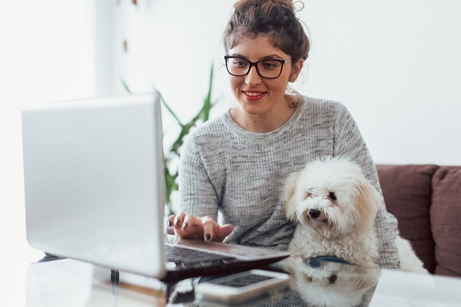 Hundetrainer Ausbildung ATM - eigene Strategien entwickeln in themenspezifischen Fachmeetings - Frau mit Hund vor PC