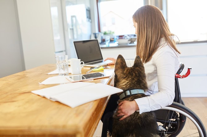 Assistenzhundetrainer Ausbildung ATN- Frau im Rollstuhl mit Assistenzhund am Arbeitsplatz mit PC