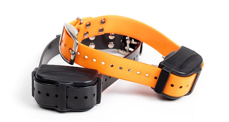 ATN Online Magazin - Elektrohalsband